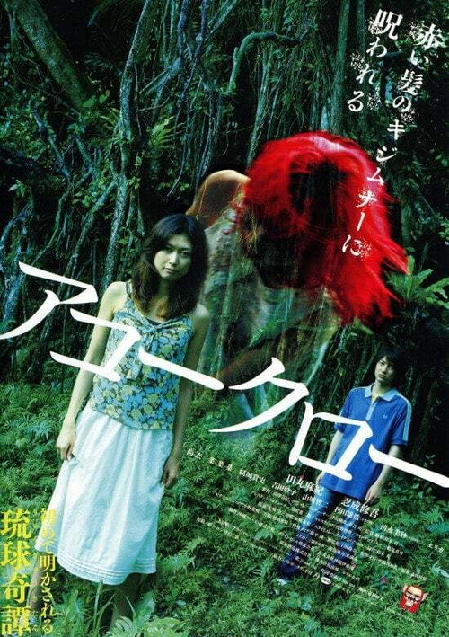 Movie poster for Twilight Phantom (2007)