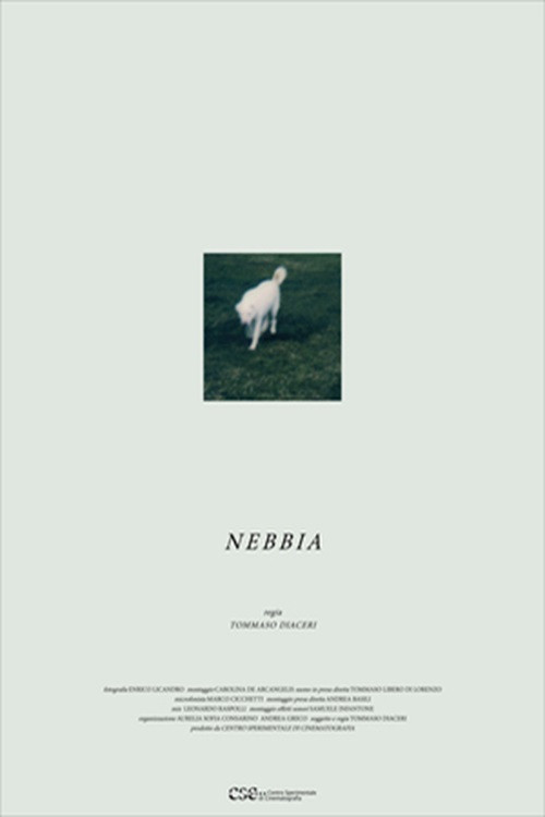 Movie poster for Nebbia (2023)