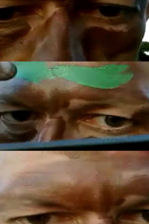 Movie poster for Camouflage Self-Portrait (2008)