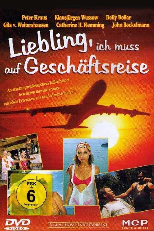 Movie poster for Liebling, ich muß auf Geschäftsreise (1995)