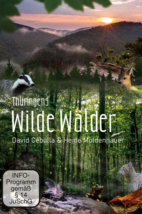 Movie poster for Wild Forests (2022)