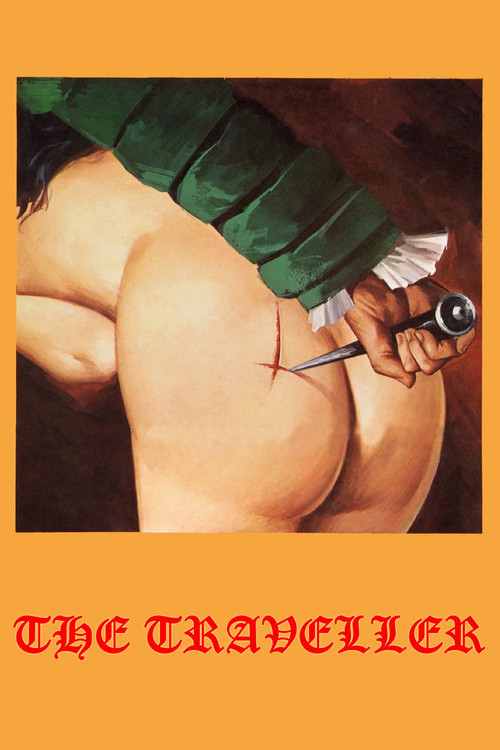 Movie poster for The Traveller (1979)