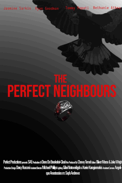 Movie poster for The Perfect Neighbours