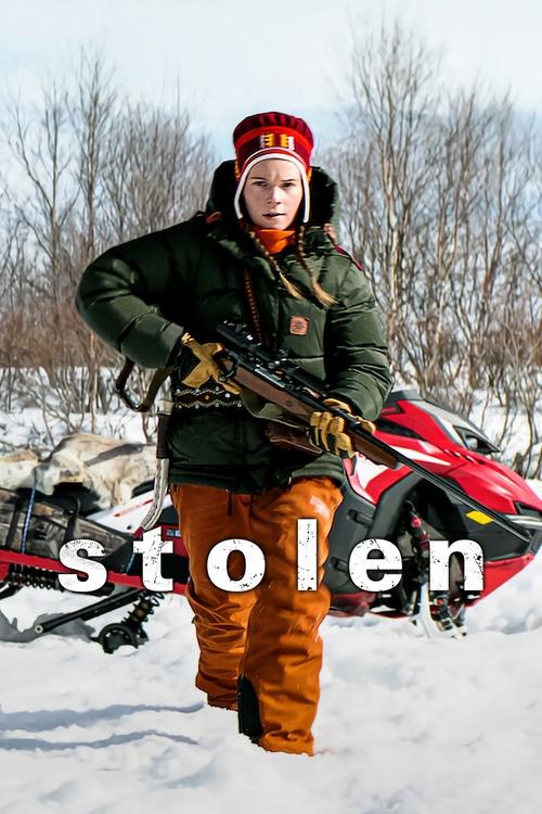 Movie poster for Stolen (2024)