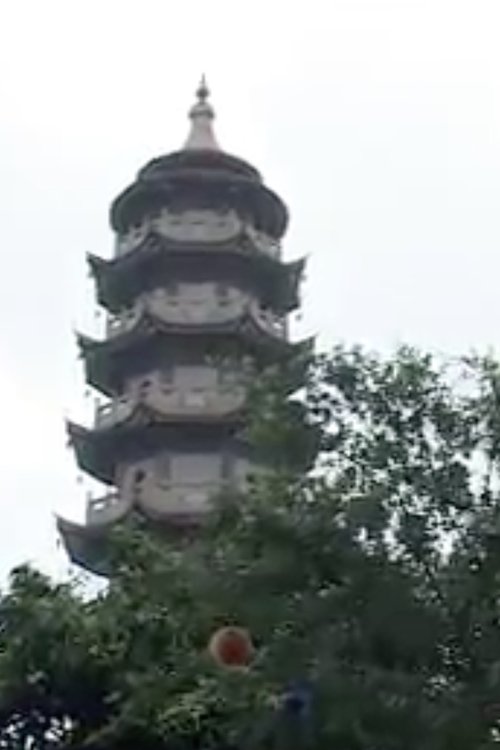 Movie poster for Tayuan (2005)