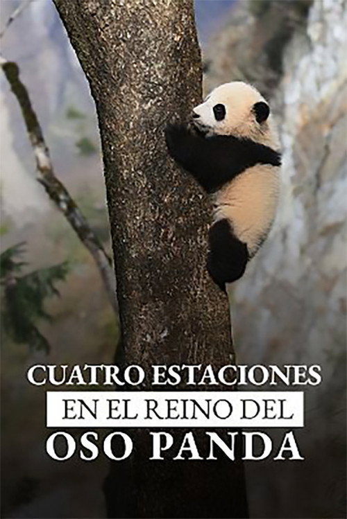 Movie poster for Four Seasons in the giant Panda’s kingdom (2022)