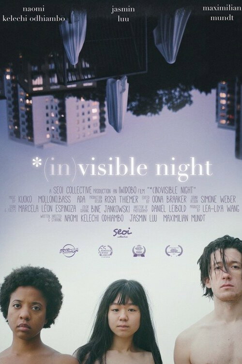 Movie poster for *(In)Visible Night (2023)