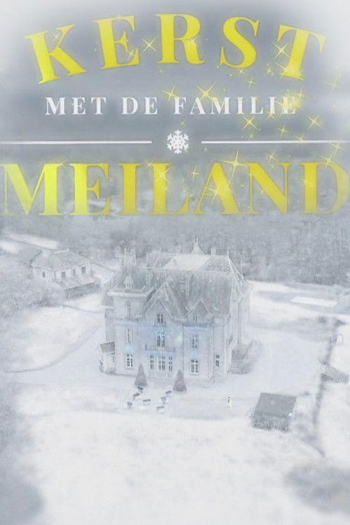 Christmas with the Meiland Family poster