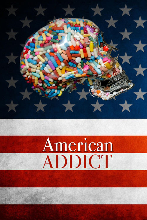 Movie poster for American Addict (2012)