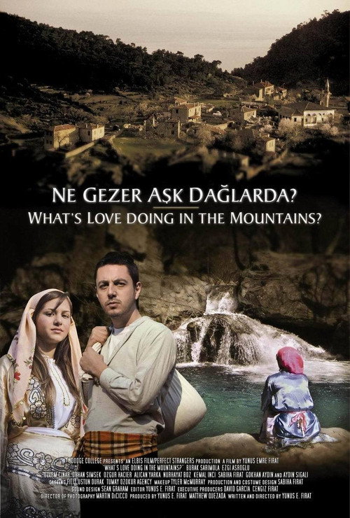 Movie poster for Ne Gezer Aşk Dağlarda? (2005)