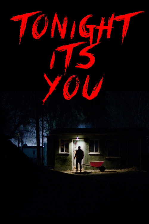 Movie poster for Tonight It's You (2016)