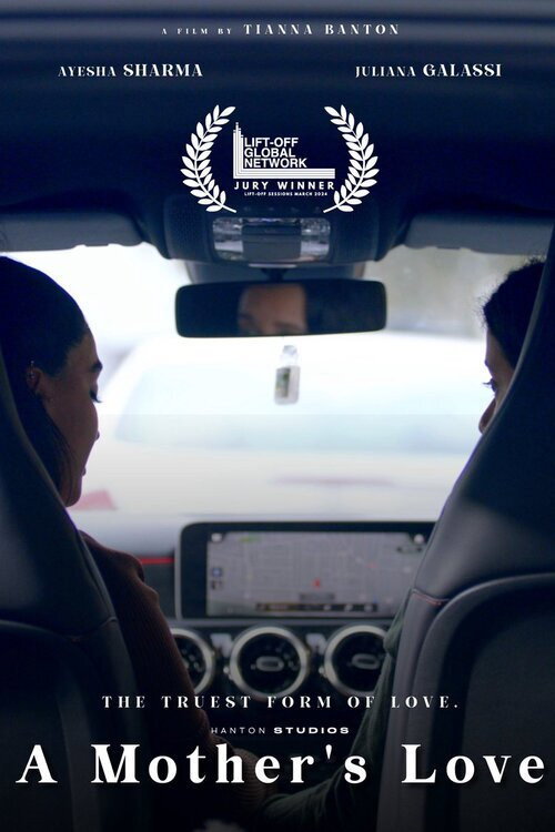 Movie poster for A Mother's Love (2024)