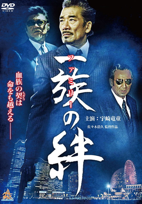 Movie poster for Family Bonds (2014)