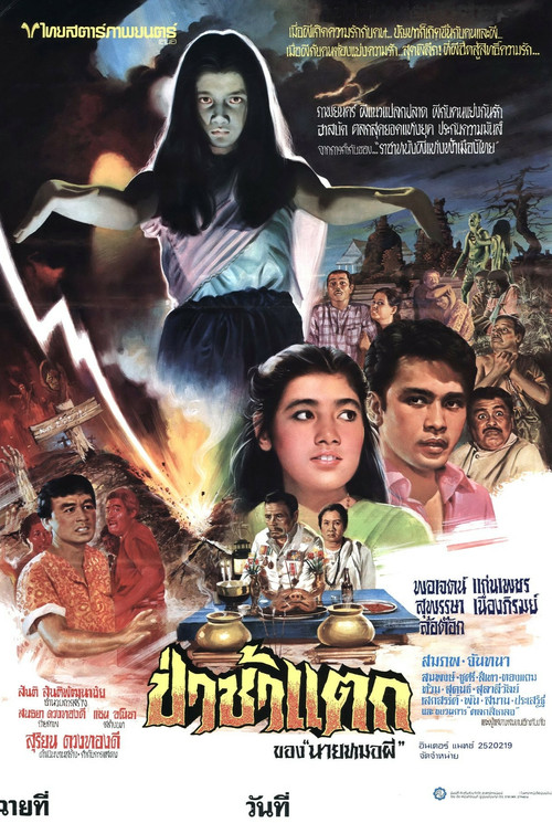 Movie poster for The Graveyard (1981)