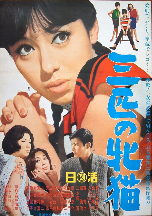 Movie poster for Three Wild Cats (1966)
