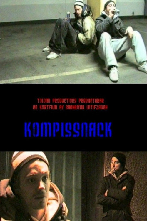 Movie poster for Paltalk (2008)