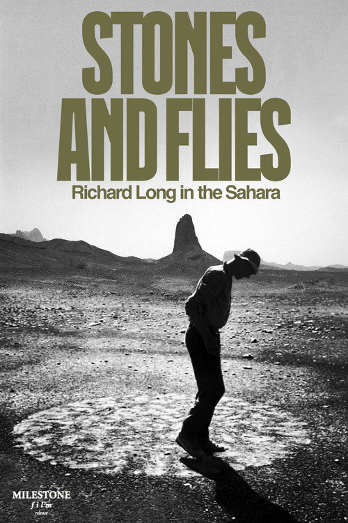 Movie poster for Stones and Flies: Richard Long in the Sahara (1988)
