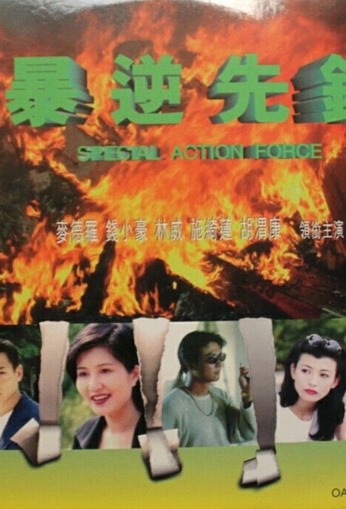 Movie poster for Special Action Force (1997)