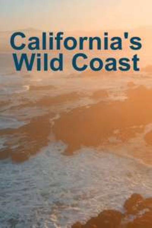 Movie poster for California's Wild Coast (2021)