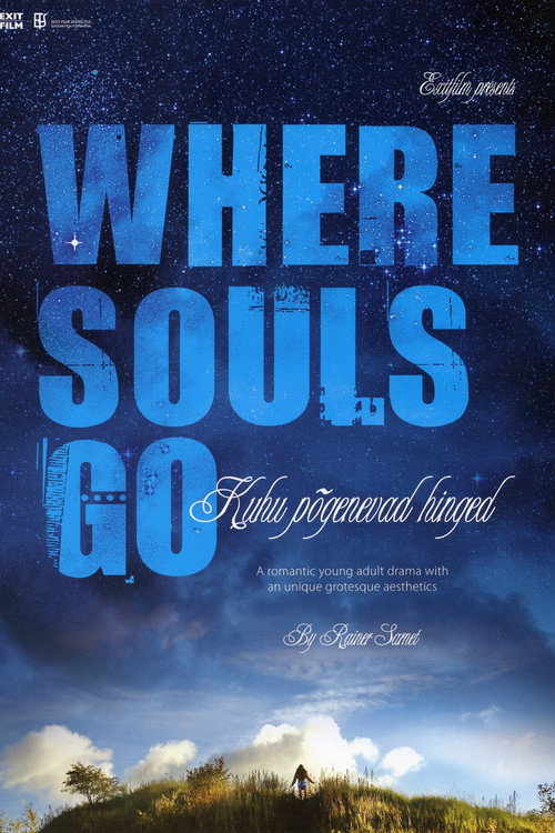 Movie poster for Where Souls Go (2007)