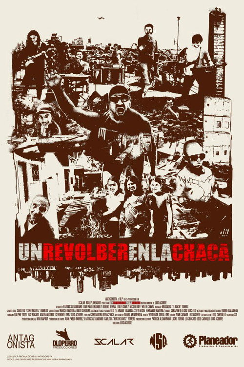 Movie poster for A Revolber in the Chaca (2012)