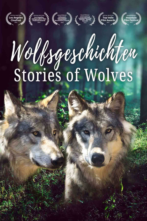Movie poster for Stories of Wolves-The Lobo returns