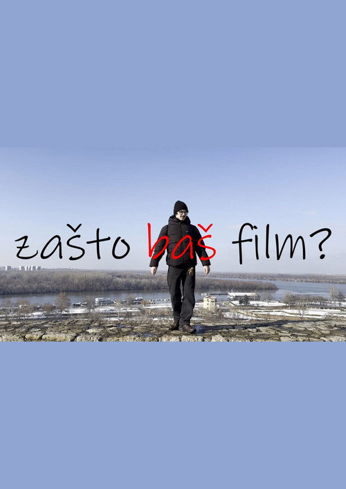 Movie poster for Why Movies? (2024)