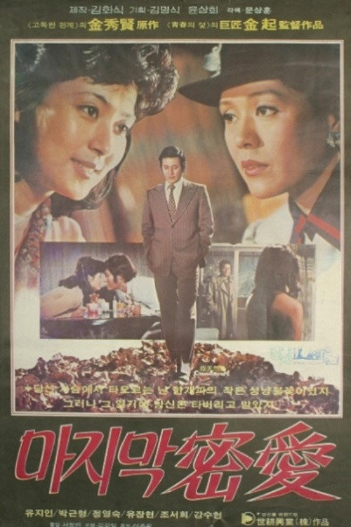 Movie poster for The Last Secret Love (1980)