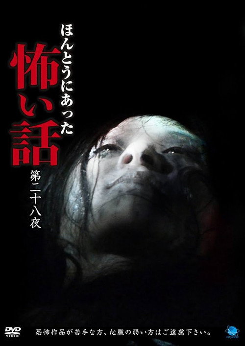 Movie poster for Scary True Stories: Night 28 (2014)