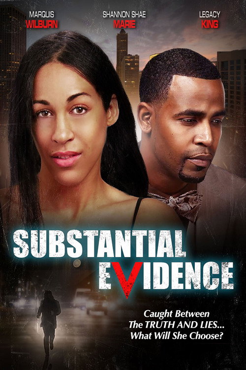 Movie poster for Substantial Evidence (2023)