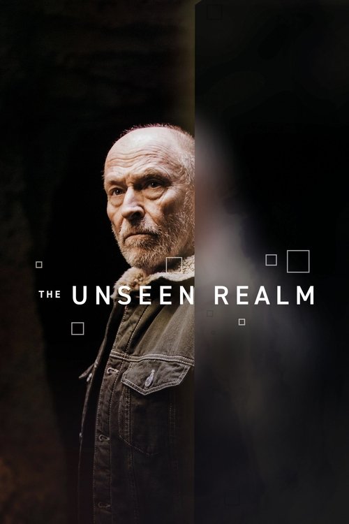Movie poster for The Unseen Realm (2019)