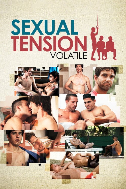 Movie poster for Sexual Tension: Volatile (2012)