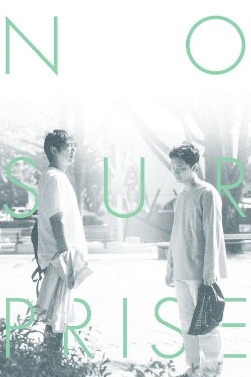 Movie poster for No Surprise (2022)