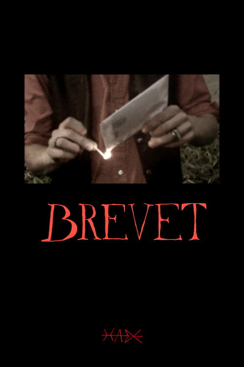Movie poster for The Letter (2024)