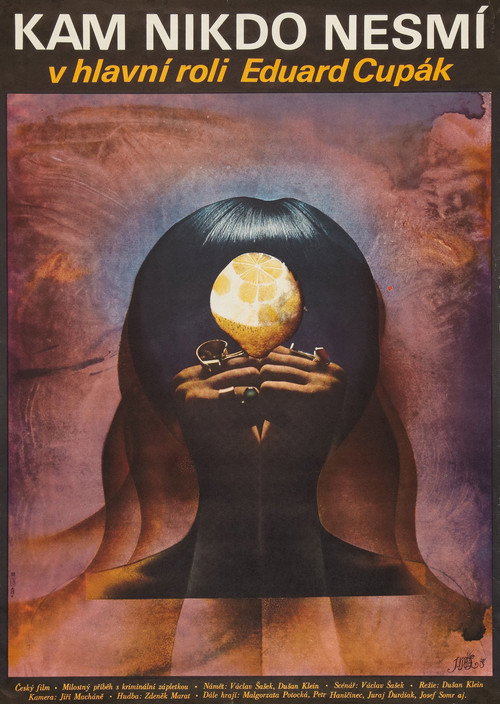 Movie poster for Kam nikdo nesmí (1979)