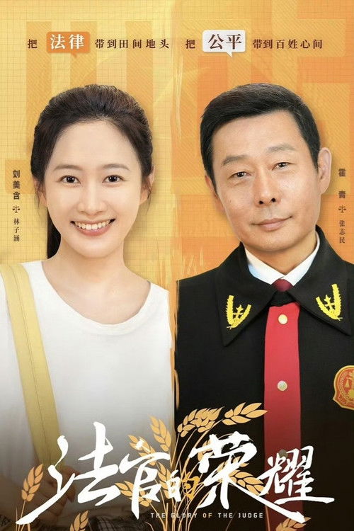 法官的荣耀 poster