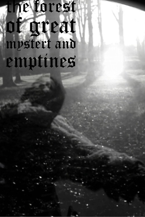 Movie poster for the forest of great mystery and emptiness