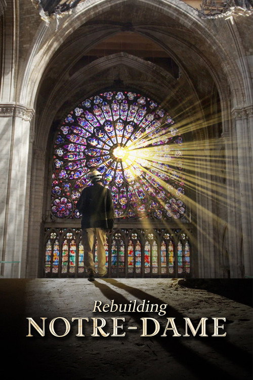 Rebuilding Notre-Dame poster