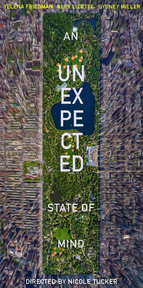 Movie poster for An Unexpected State of Mind (2019)