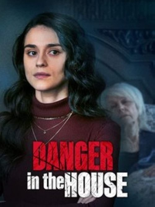 Movie poster for Danger in the House (2022)