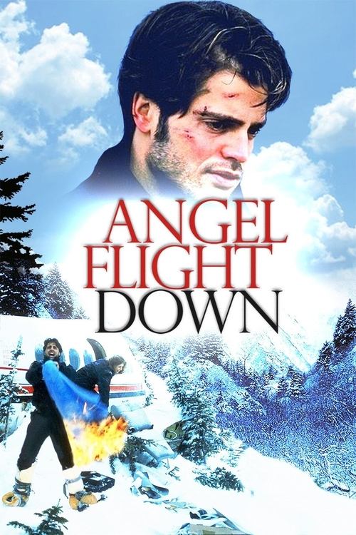 Movie poster for Angel Flight Down (1996)
