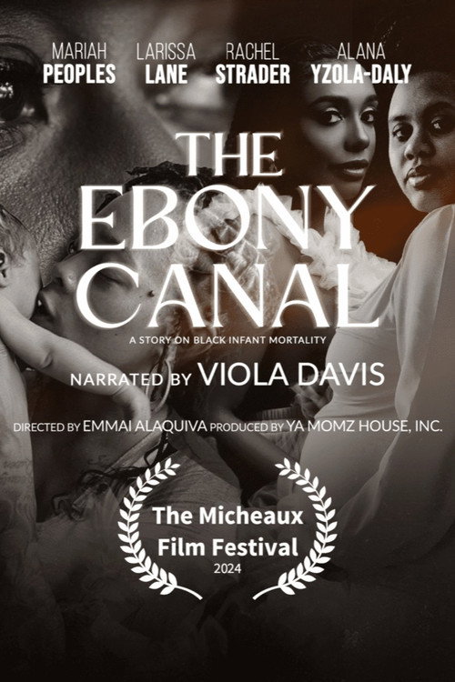 Movie poster for The Ebony Canal: A Story of Black Infant Mortality (2025)