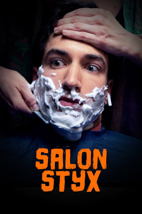 Movie poster for Salon Styx (2020)