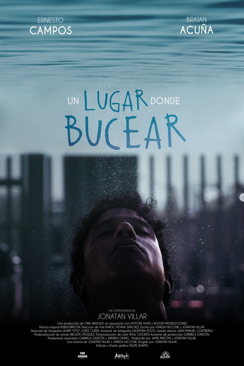 Movie poster for A Place to Dive (2023)