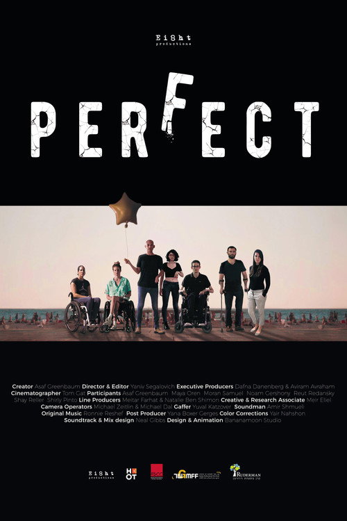 Series poster for Perfect (2020)