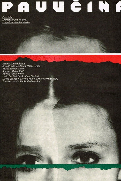 Movie poster for Pavučina (1987)