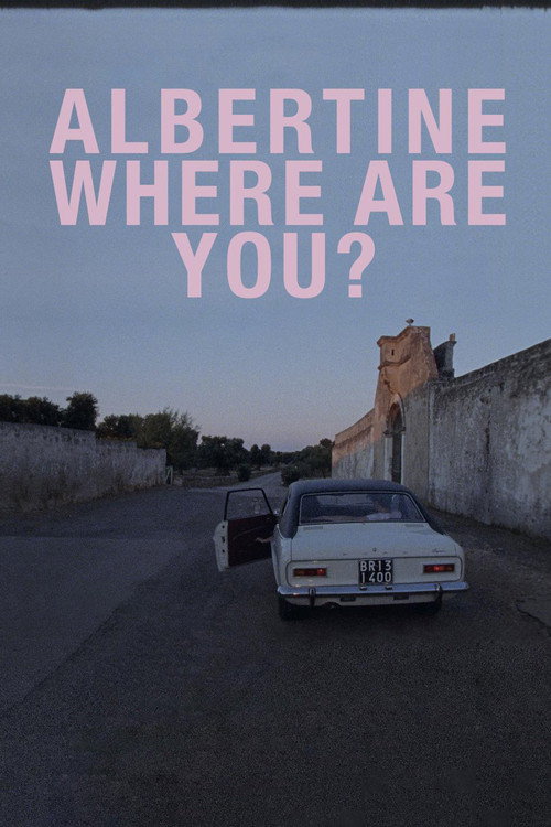 Movie poster for Albertine Where Are You? (2022)