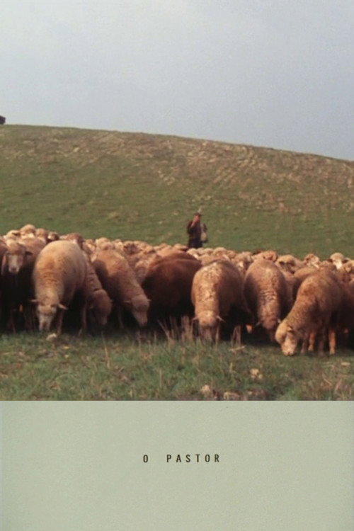Movie poster for The Shepherd (1988)