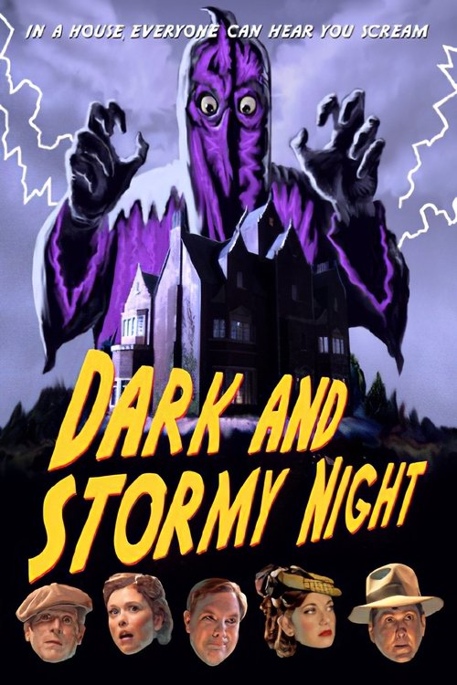 Movie poster for Dark and Stormy Night (2009)