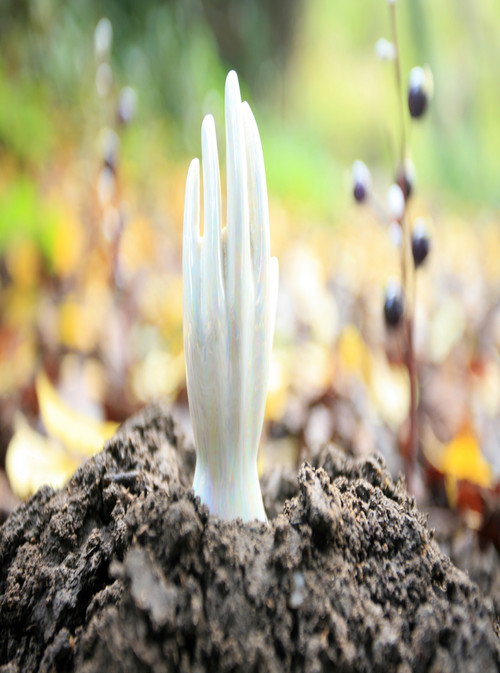 Movie poster for Regeneration (2009)
